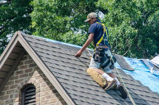 Best Shingle Roofing Installation  in Bryson City, NC